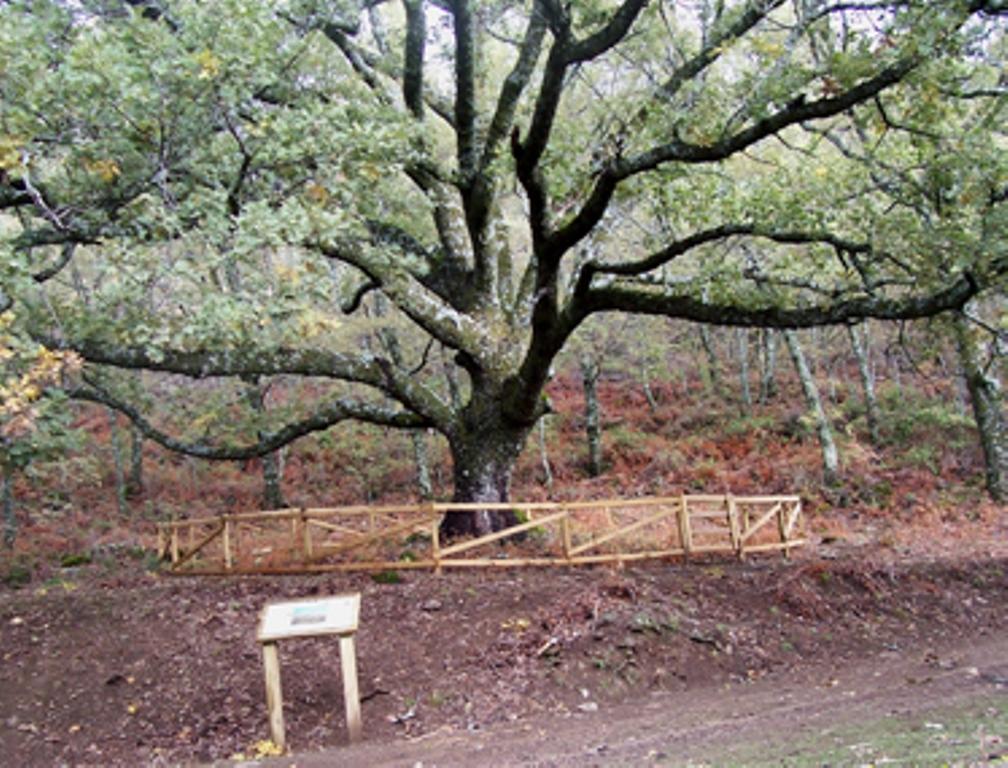Las Calabazas Barrado Szoba fotó
